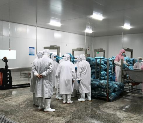 泰國TEE客戶到訪隆鑫健達(dá)分公司進(jìn)行驗廠