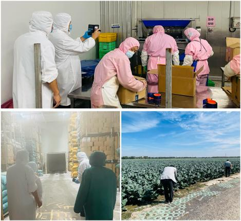 韓國客戶如期進(jìn)行年度訪問